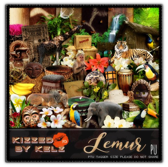 Lemur - Click Image to Close